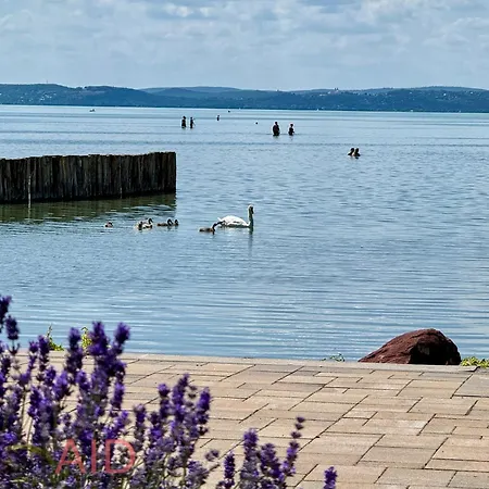 Apartment Azur - Hostaid Siofok